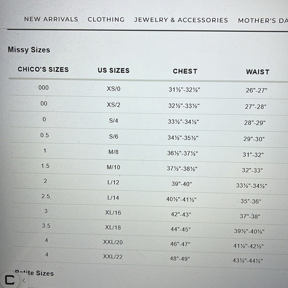 Chico’s Chiffon Floral Ruffle Blouse Long Sleeve Feminine Sheer w/Camisole - Picture 12 of 12